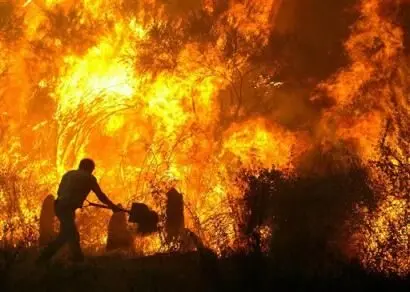 آتش سوزی برای دومین سال پیاپی در تالاب گندمان