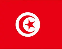 آیا تونس سرمشق اعراب می‌شود؟