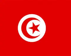 آیا تونس سرمشق اعراب می‌شود؟
