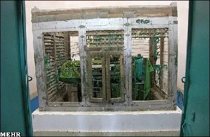 عکس>مرمت آرامگاه یعقوب لیث صفاری با چوب صندوق میوه!