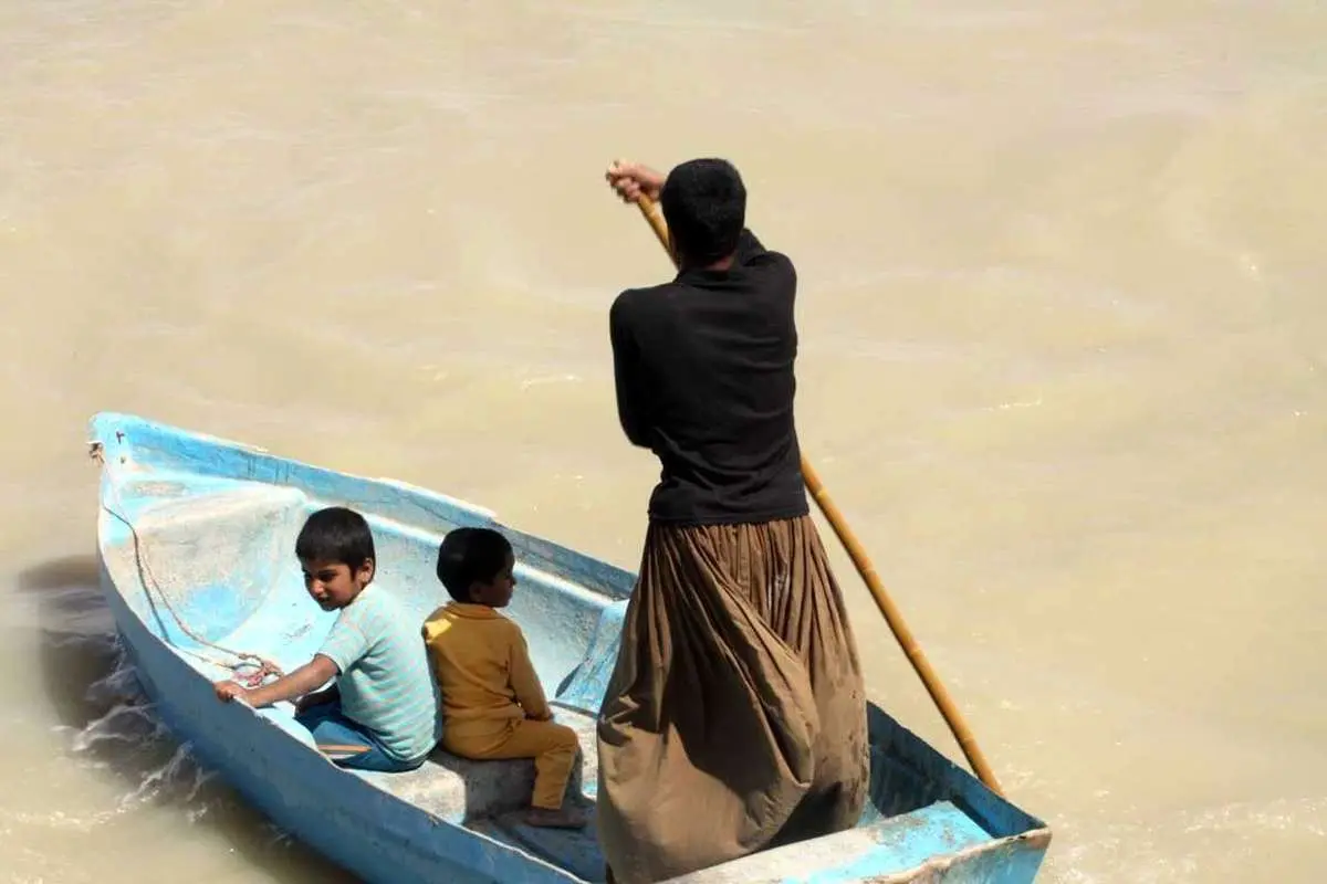 حیات در هامون+عکس