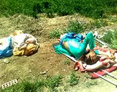 کمسیون بهداشت ول کن ماجرا نیست