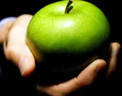 براهین اثبات وجود خدا در فلسفه اسلامی