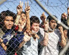 43 میلیون نفر در سراسر جهان آواره اند