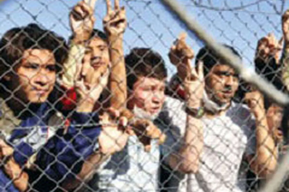 43 میلیون نفر در سراسر جهان آواره اند
