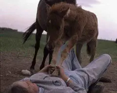 روایتی از زندگی موجودی رو به انقراض