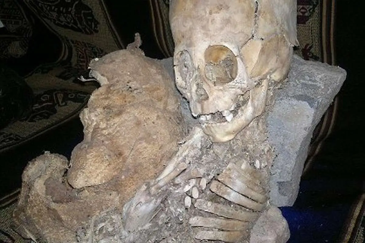 عکس/ کشف جمجمه نیممتری