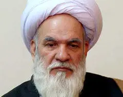 "این کار را ما قبول نداریم منتهی عواطفی که تحریک می‌شود قابل کنترل نیست"