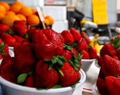 نوبر بهاره؛ گرانی