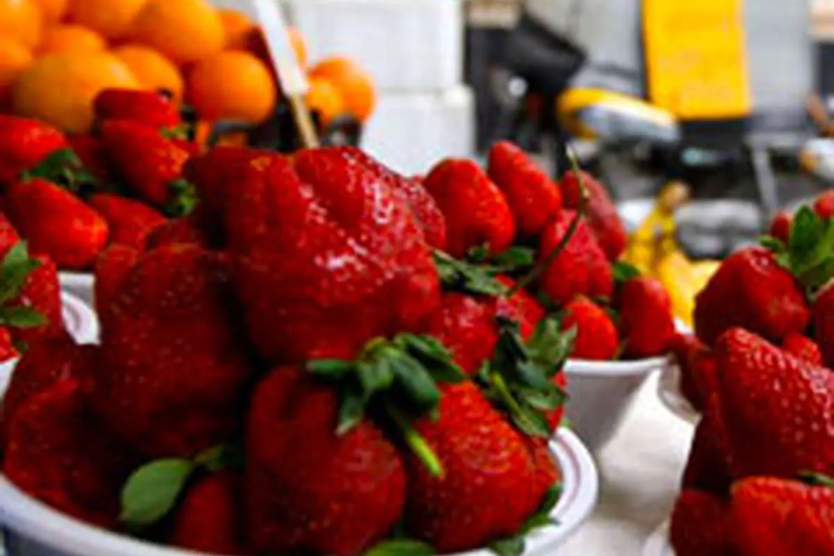 نوبر بهاره؛ گرانی