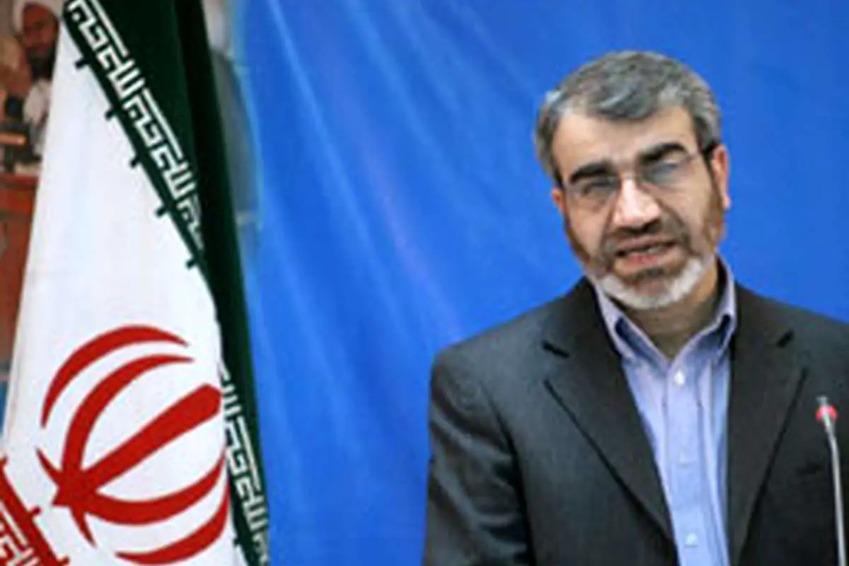 كدخدايي: دولت، شورای نگهبان نوازی میکند