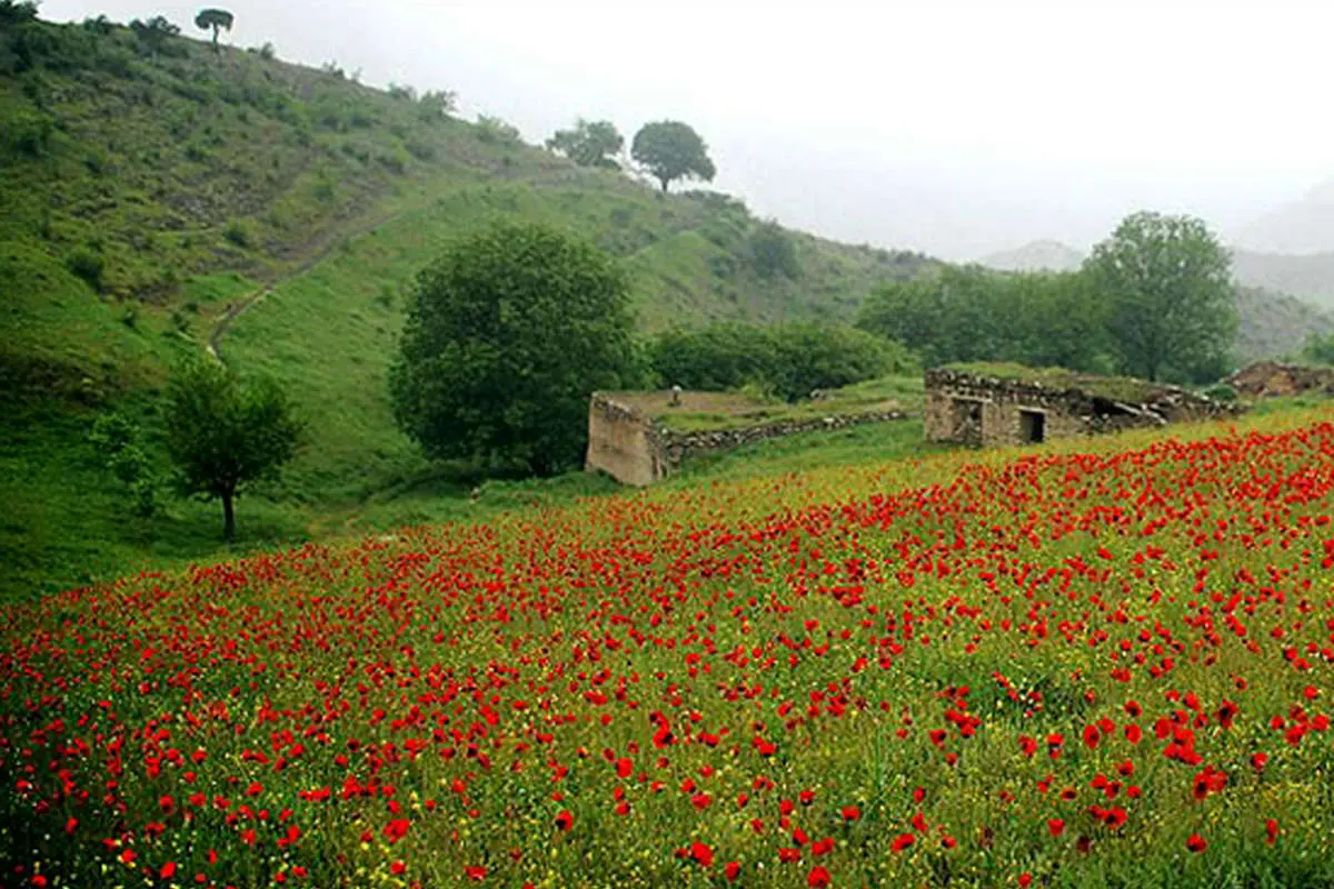 (تصاویر) مناظر چشم نواز ارسباران