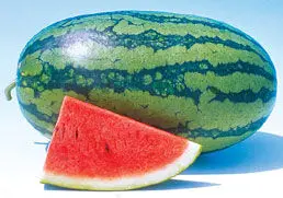 افراد چاق کمتر هندوانه بخورند
