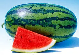 افراد چاق کمتر هندوانه بخورند