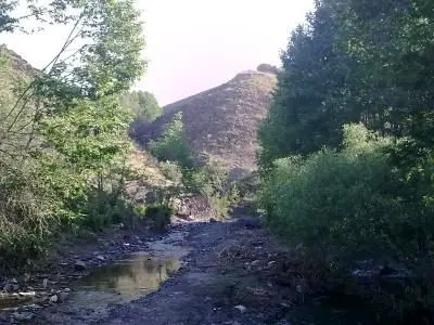 پدیده وحشت‌آفرین در روستایی در مشهد