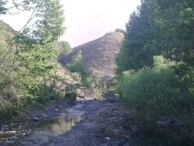 پدیده وحشت‌آفرین در روستایی در مشهد