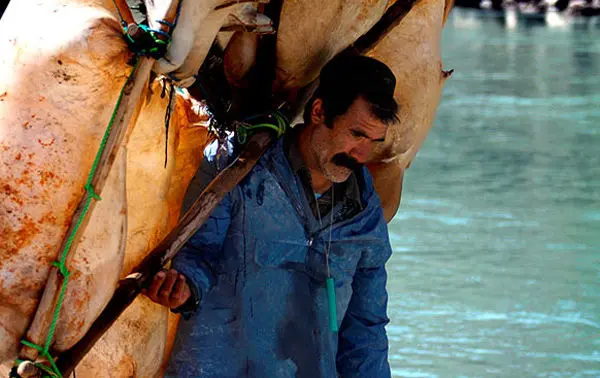 (تصاویر) ابتکار جالب عشایر برای عبور از کارون