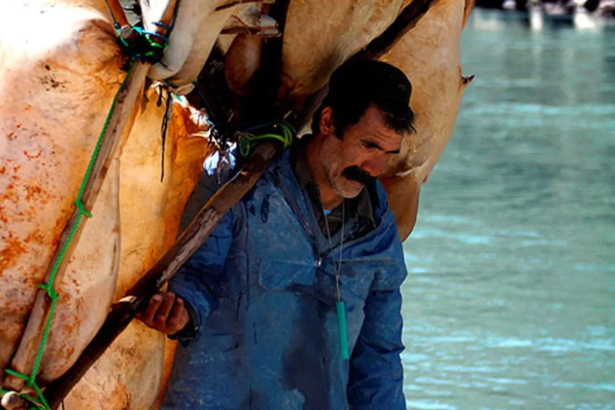 (تصاویر) ابتکار جالب عشایر برای عبور از کارون