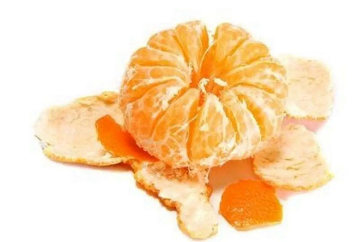 ۱۰میوه ضد سرطان