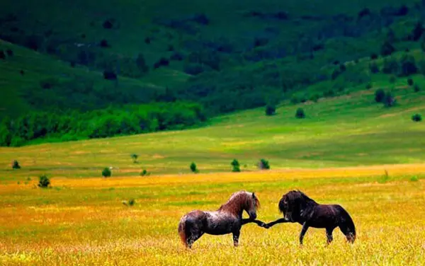 (تصاویر) عجیب و دیدنی از همه‌جای جهان