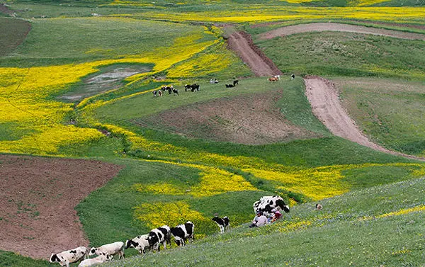 (تصاویر) چشم‌انداز زیبای دامنه سبلان