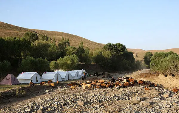 (تصاویر) کمک‌رسانی به زلزله‌زدگان