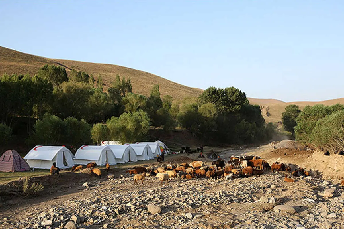 (تصاویر) کمکرسانی به زلزلهزدگان