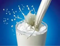 قیمت لبنیات کاهش یافت