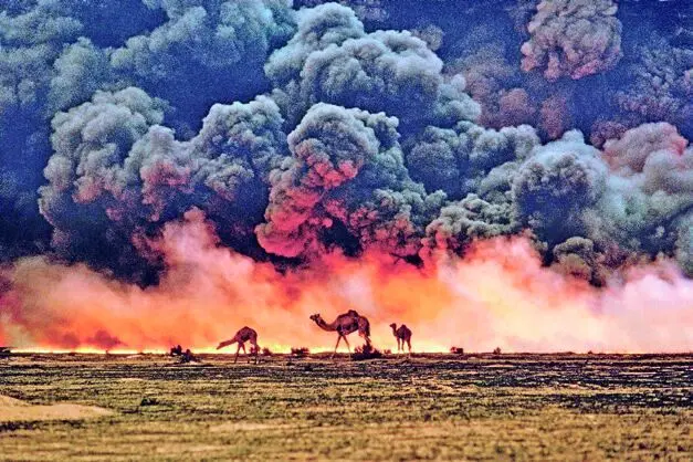 محیط زیست؛ قربانی خاموش جنگ