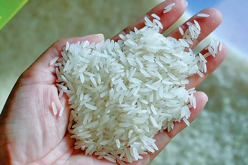  قیمت برنج هندی به‌شدت ارزان شد