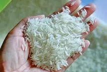  قیمت برنج هندی به‌شدت ارزان شد