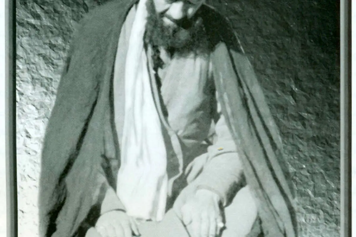 همه چیز نور دارد