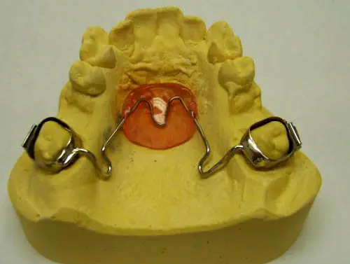 (تصاویر) تولید زنده‌ترین اندام مصنوعی