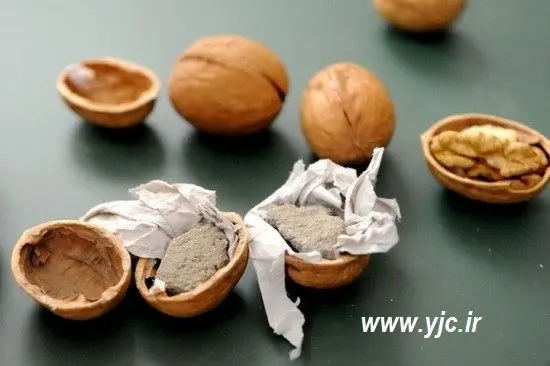 (تصاویر) چینی‌ها گردو را هم جعل کردند!