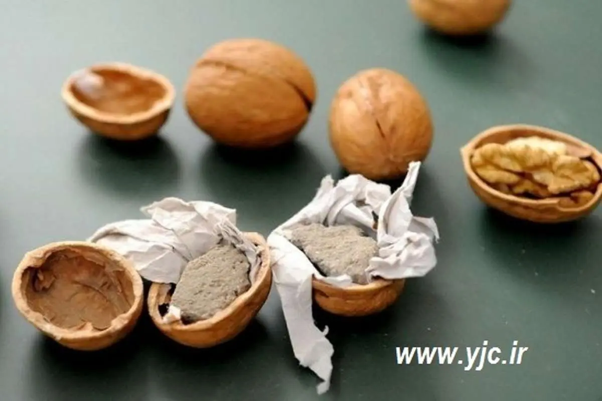 (تصاویر) چینیها گردو را هم جعل کردند!