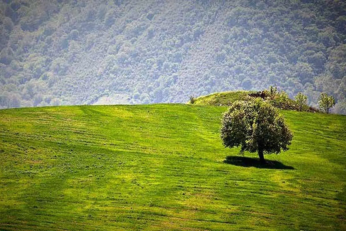 (تصاویر) مناظر بهار در استان گلستان