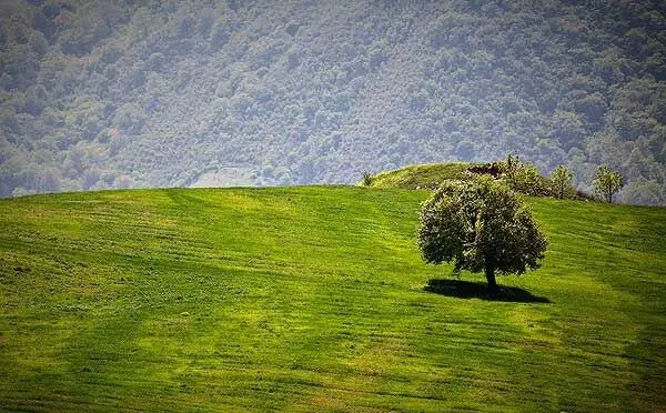 (تصاویر) مناظر بهار در استان گلستان