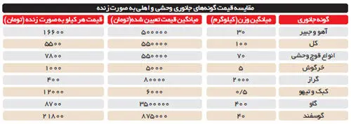 گوشت آهو و قوچ وحشی ارزان‌تر از گوسفند و گوساله