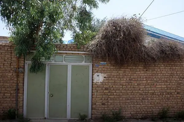 (تصاویر) خانه پدری حسن روحانی
