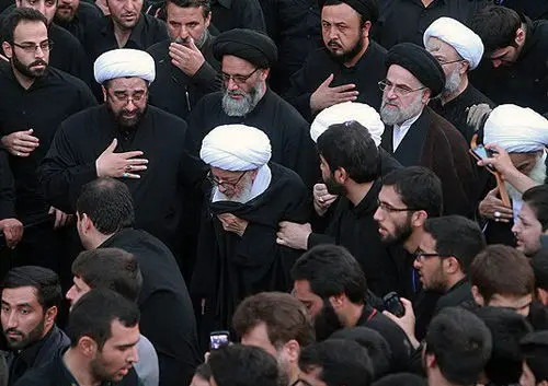 (تصاویر) پیاده روی آیت‌الله وحید در قم