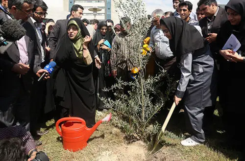(تصاویر) معصومه ابتکار درخت "صلح" کاشت