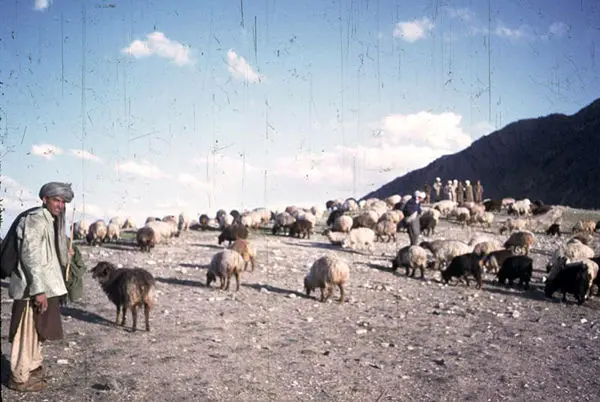 (تصاویر) زندگی آرام درکابل؛ سال 1960 (1)