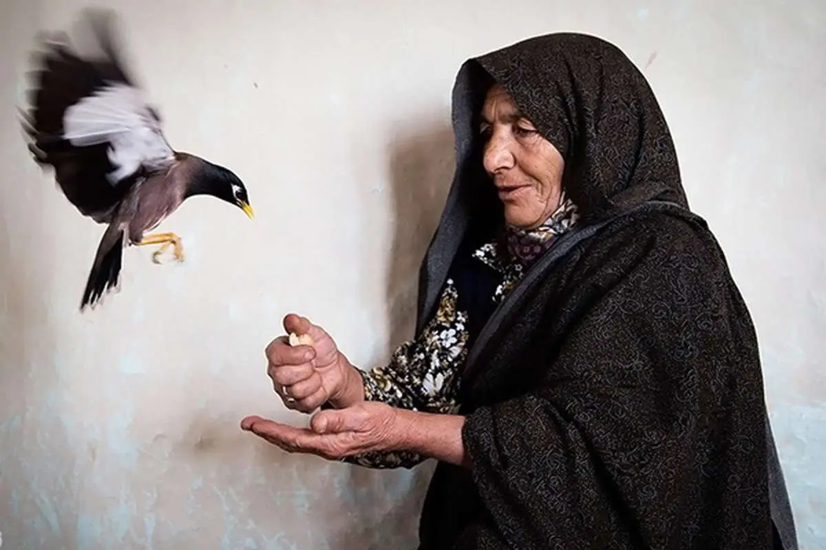 (تصاویر) «من باید خوب شوم»