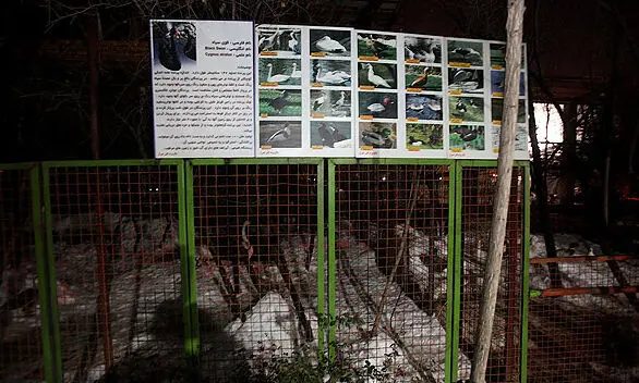 (تصاویر) تلف شدن پرندگان باغ پرندگان شیراز