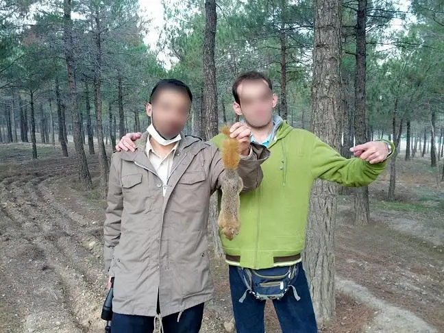 (تصاوير) شکار سنجاب در پارک چیتگر تهران!