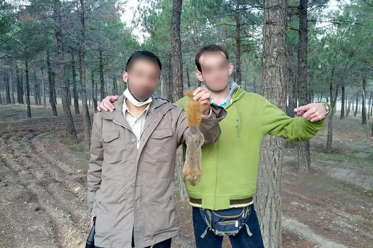 (تصاوير) شکار سنجاب در پارک چیتگر تهران!