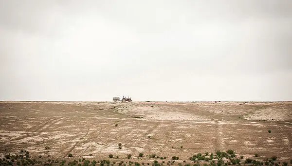 (تصاویر) هجوم‌ملخ‌ها به مزارع شرق‌ گلستان