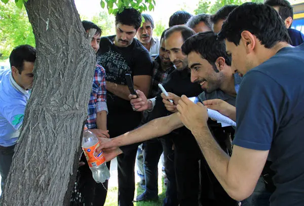 (تصاویر) جوشش آب از تنه درخت در همدان