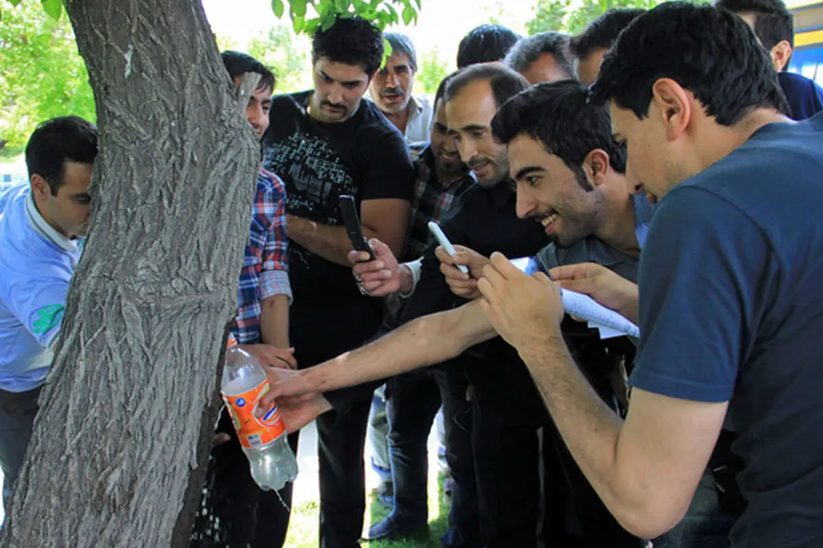 (تصاویر) جوشش آب از تنه درخت در همدان