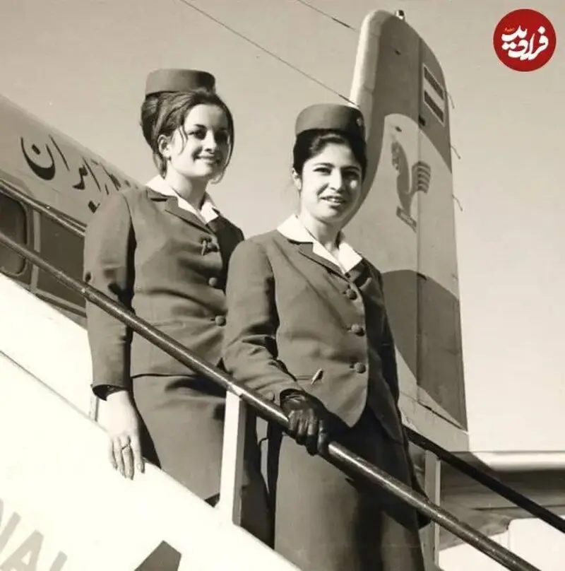 مهماندار